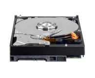 WD Green 1TB WD10EZRX - 1425939 - zdjęcie 3